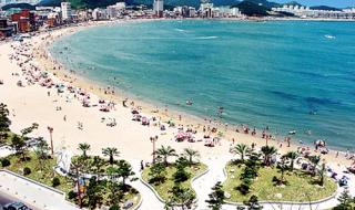 上海三甲港海滨乐园 上海三甲港海滨乐园