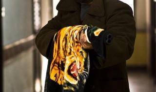 最新电影2013已上映