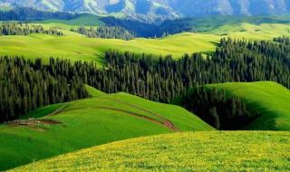 伊犁那拉提草原 伊犁那拉提草原