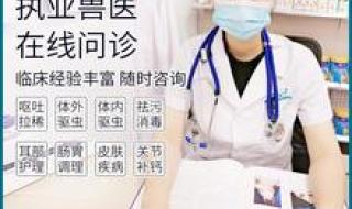 网上宠物医院咨询 网上宠物医院咨询