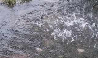 广东冷空气5日到货 广东冷空气5日到货