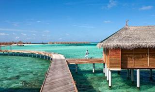 海贼王手掌岛的冒险 海贼王手掌岛的冒险