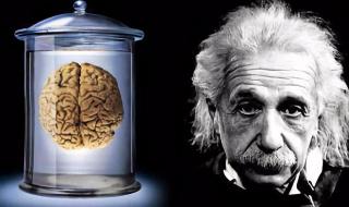 智商可以后天提高吗 智商可以后天提高吗