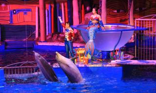 圣亚海洋世界游玩攻略 圣亚海洋世界游玩攻略