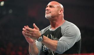 wwe所有人员名单图片 wwe所有人员名单图片